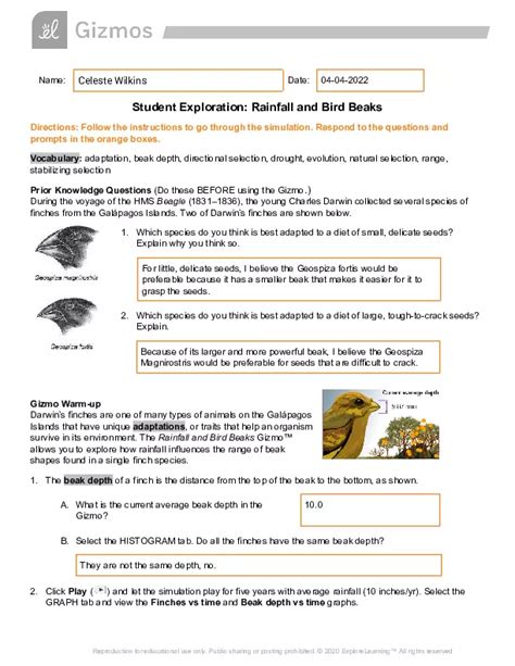 gizmo rainfall and bird beaks answers PDF