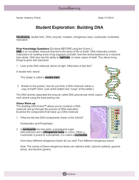 gizmo student exploration building dna answer key Epub