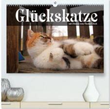 gl ckskatze wandkalender gl ckskatzen sinnspr che monatskalender Reader