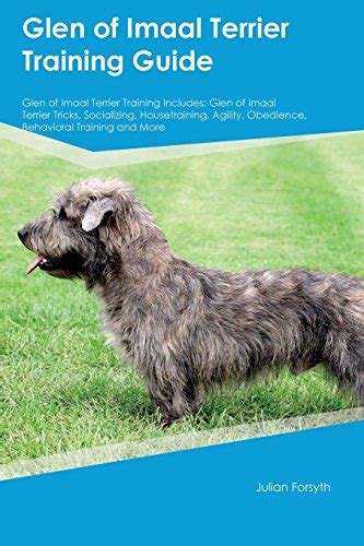 glen imaal terrier training guide PDF