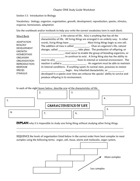 glencoe science biology worksheet answers Epub