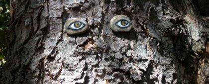 gli occhi degli alberi gli occhi degli alberi Epub