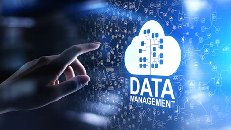 global data management global data management Kindle Editon