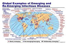 global mapping of infectious diseases global mapping of infectious diseases Kindle Editon