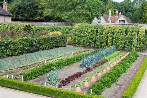 glorious histories tales from the traditional kitchen garden Doc