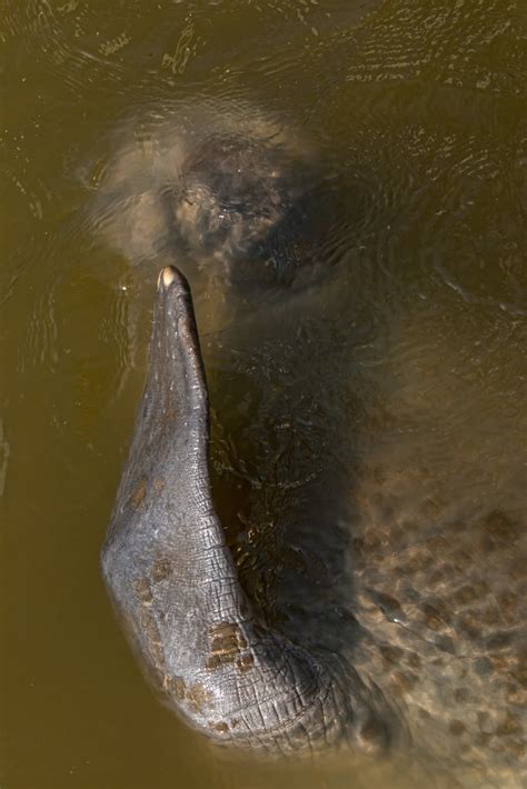 glory holes in florida