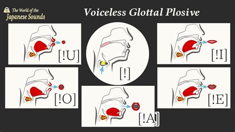 glottal plosive