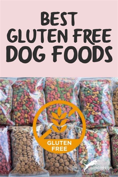 gluten free dog food