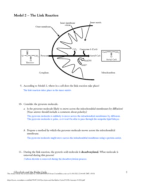 glycolysis the krebs cycle pogil answers Kindle Editon