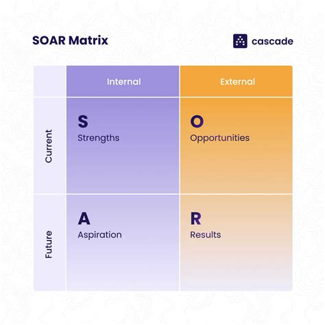 go assessment options soar to success math Ebook Kindle Editon