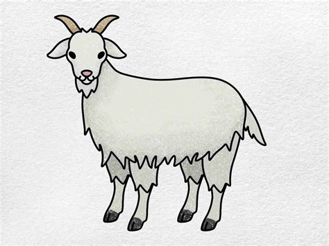 goat drawings