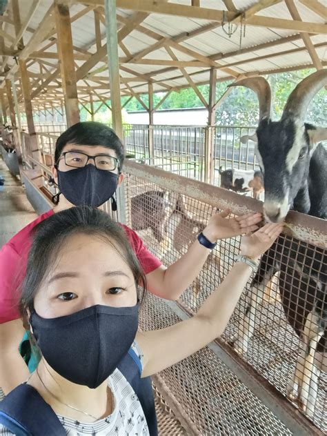 goat farm singapore