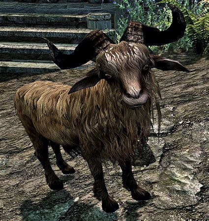 goat horns skyrim id