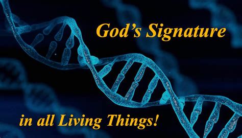 gods signature beyond intelligent design Doc