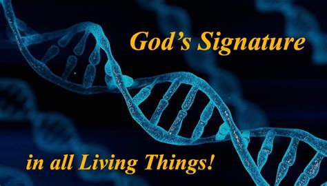 gods signature beyond intelligent design Reader