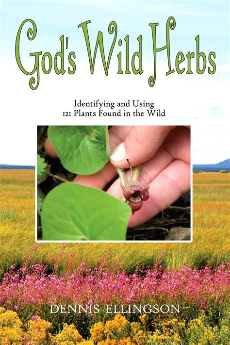 gods wild herbs identifying and using 121 plants found in the wild Doc