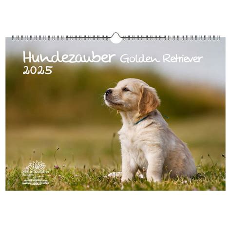 golden retriever mali wandkalender 2016 Kindle Editon