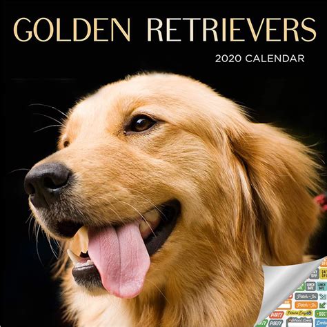 golden retrievers 2014 wall calendar Doc