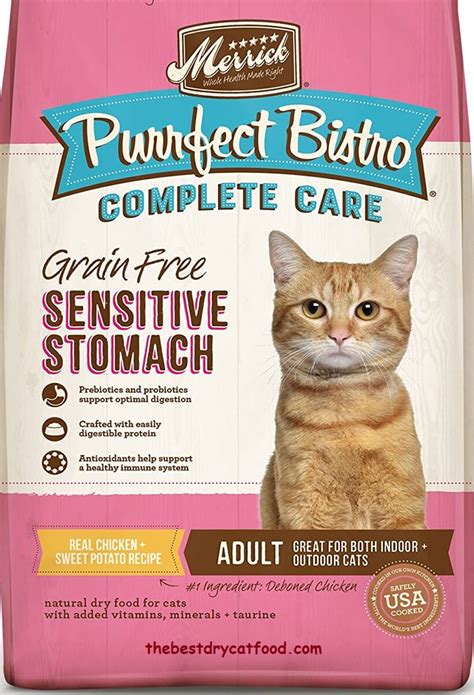 good cat food for sensitive stomach