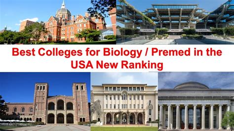 good colleges for biology