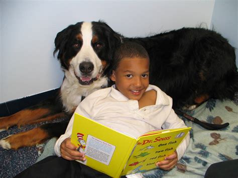 good dog dog care for kids reading rocks Doc