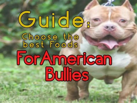 good food for american bully