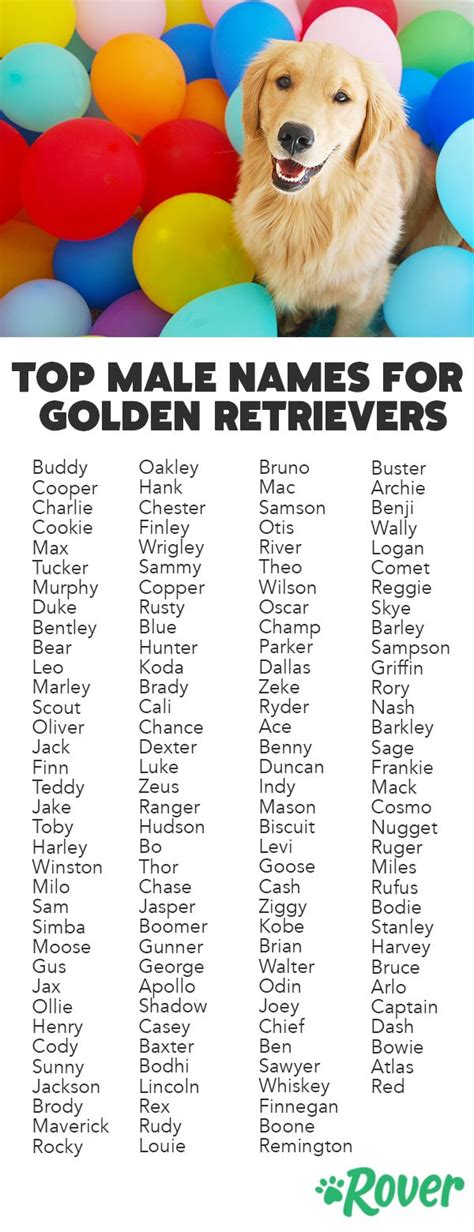 good golden retriever names