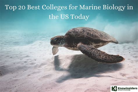 good marine biology schools