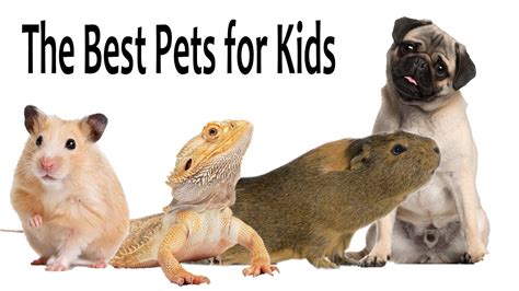 good pets for kids