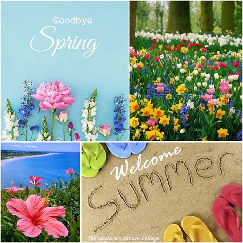 goodbye spring hello summer