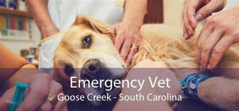 goose creek vet sc