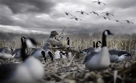 goose hunting doing it the right way Epub