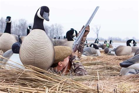 goose hunting doing it the right way Epub