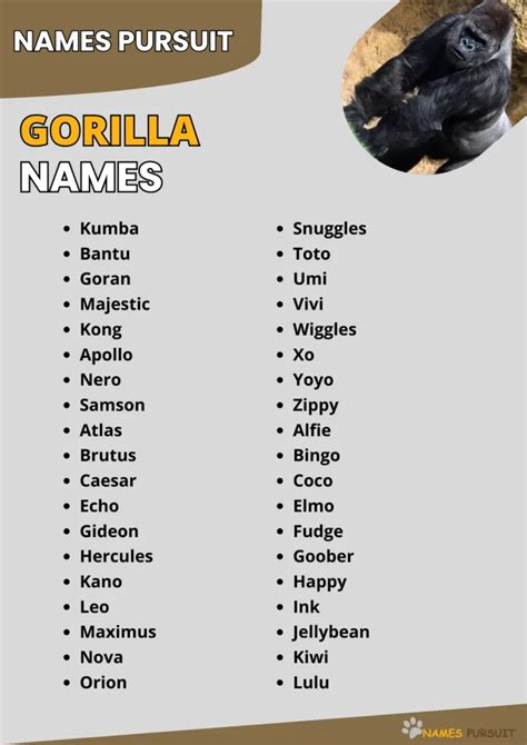 gorilla names