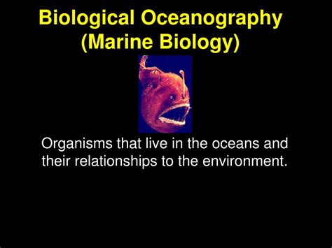 governance oceans oceanography marine biology Doc