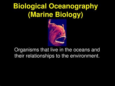 governance oceans oceanography marine biology Doc