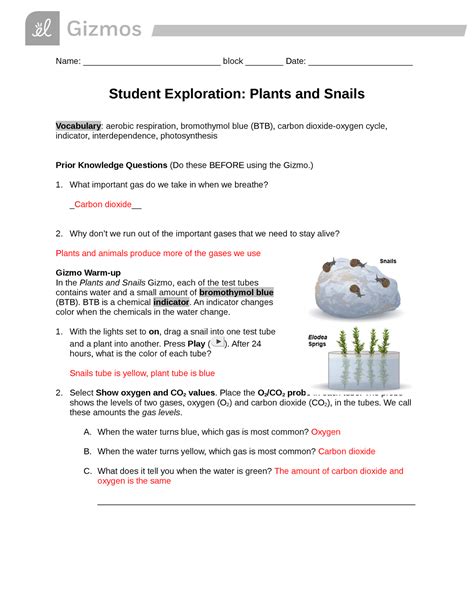 grade 7 science gizmo answer key PDF