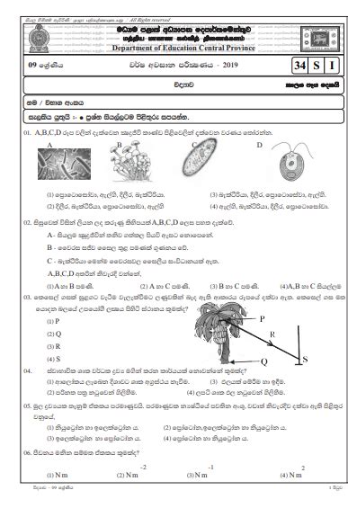 grade 9 science exam papers sinhala medium PDF