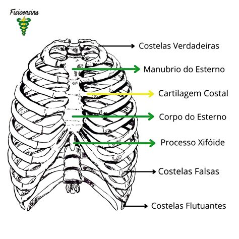 gradil costal