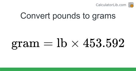 gram to lb converter