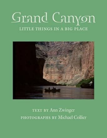 grand canyon little things in a big place desert places PDF