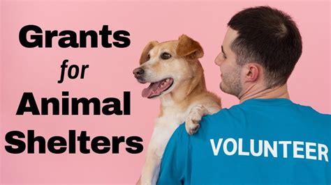 grants for animal rescue