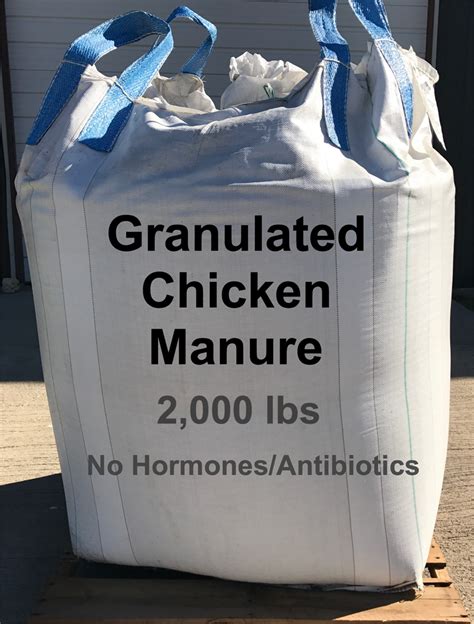 granulated manure chicken