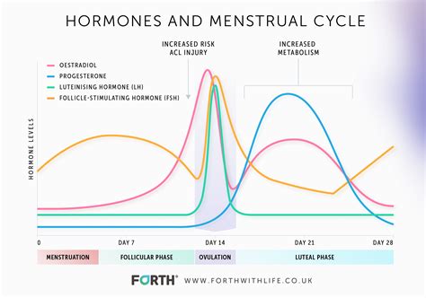 graphing hormone levels answer key Epub