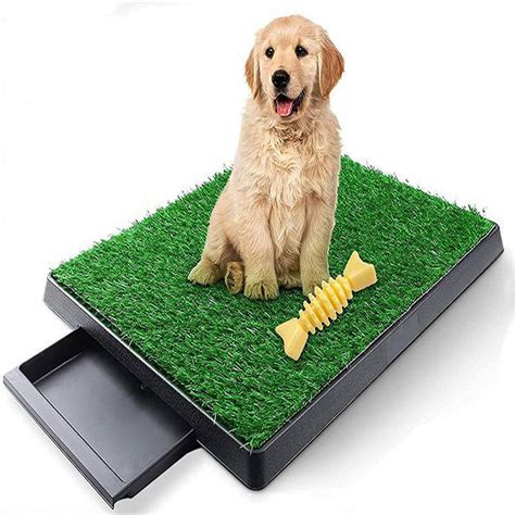 grass pee pad for dogs