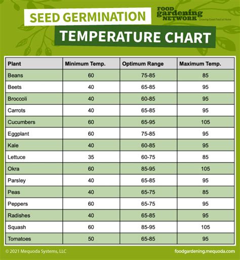 Grass Seed Germination Time Chart
