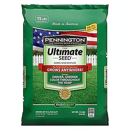 grass seed sam's club