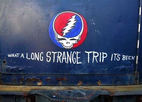 grateful dead what a long strange trip it's been