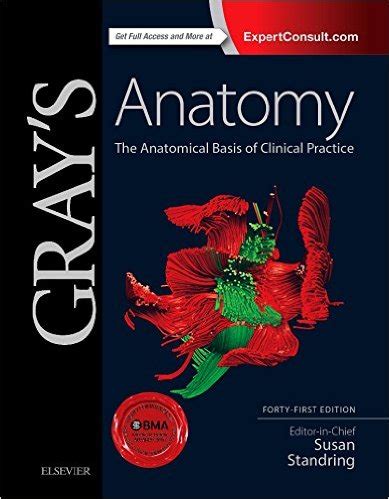 grays anatomy the anatomical basis of clinical practice 41e PDF