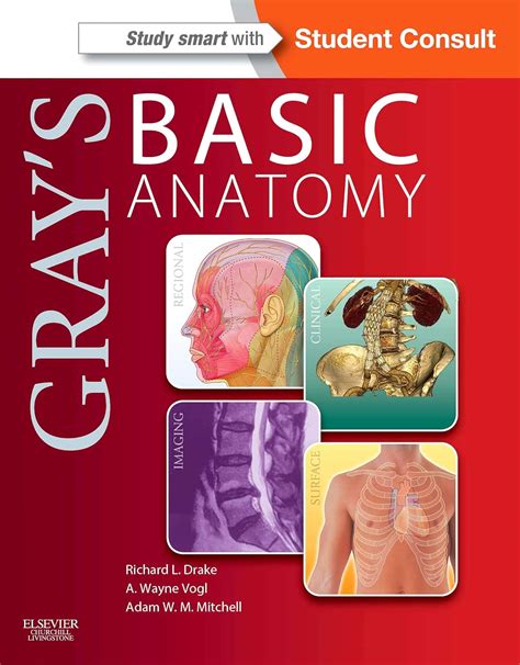 grays basic anatomy with student consult Epub